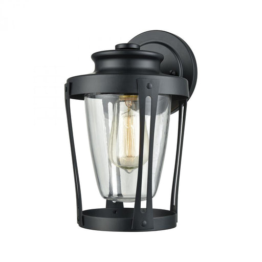 Fullerton 1-Light Outdoor Wall Lamp in Matte Black