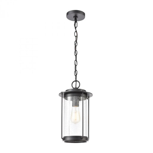 Devonshire 1-Light Hanging in Matte Black with Seedy Glass