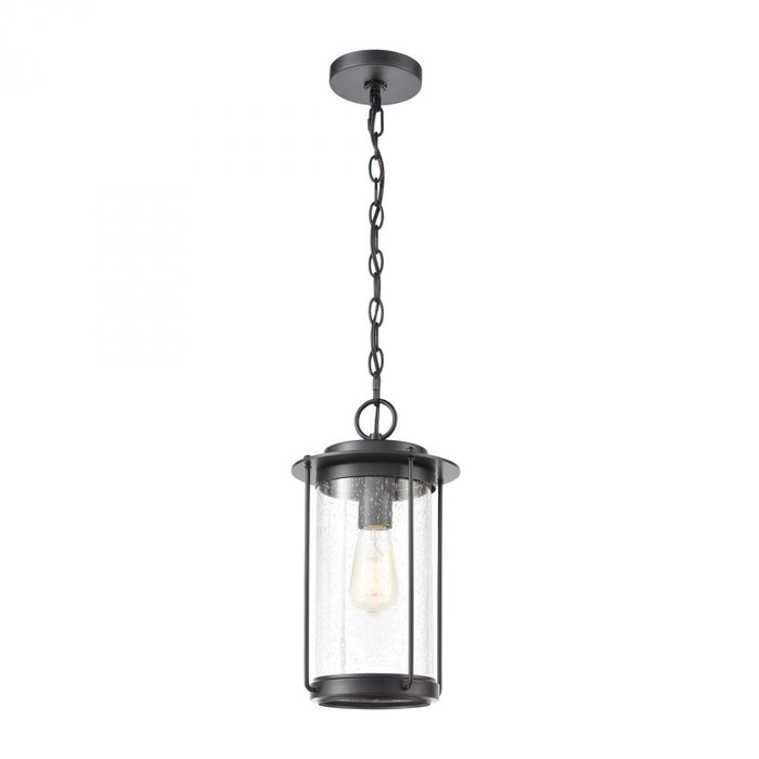 Devonshire 1-Light Hanging in Matte Black with Seedy Glass