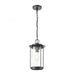 Devonshire 1-Light Hanging in Matte Black with Seedy Glass