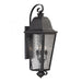 Forged Brookridge 4-Light Outdoor Wall Lamp in Charcoal