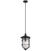 Outdoor Pendant 1Lt