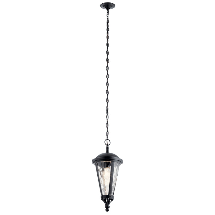 Outdoor Pendant 1Lt