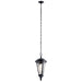 Outdoor Pendant 1Lt