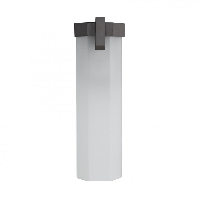 Alessia Outdoor Sconce