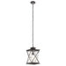 Outdoor Pendant 1Lt LED