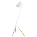 Westlinton 1-Light Floor Lamp