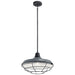 Outdoor Pendant/Semi Flush 1Lt 16 inch