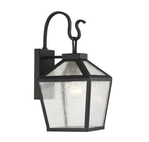 Woodstock 1 Light Outdoor Wall Lantern