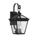 Ellijay 9" Steel Wall Lantern