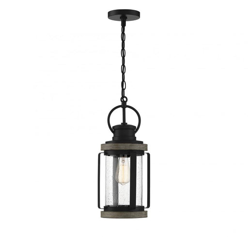 Parker 1 Light Lodge Outdoor Hanging Lantern