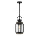 Parker 1 Light Lodge Outdoor Hanging Lantern