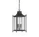 Dunnmore Black Hanging Lantern