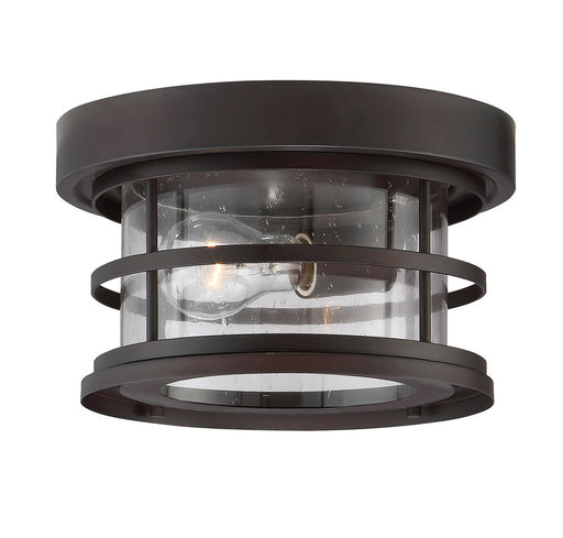 Barrett 10"  Outdoor Ceiling Light