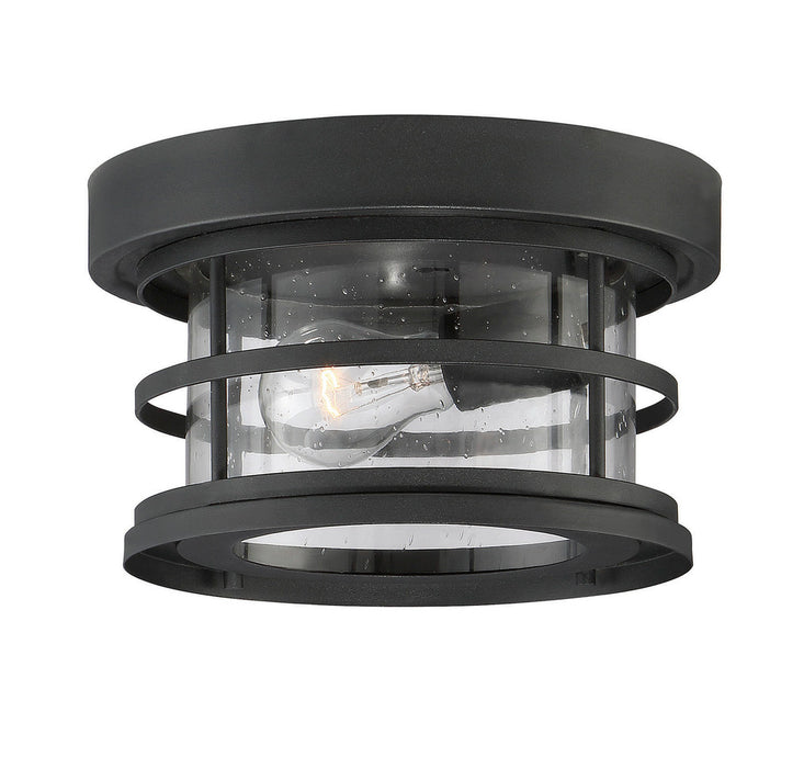 Barrett 10" Outdoor Ceiling Light