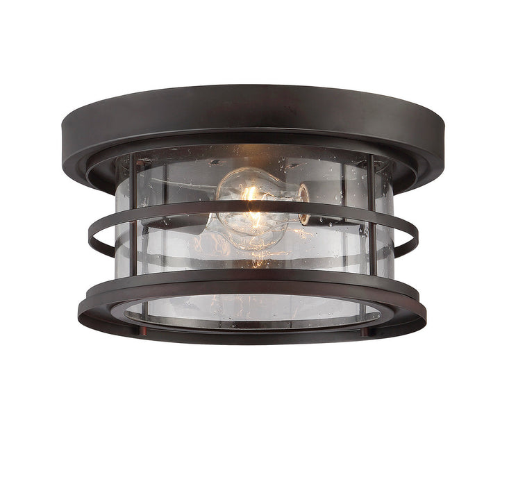 Barrett 13"  Outdoor Ceiling Light