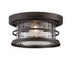 Barrett 13"  Outdoor Ceiling Light