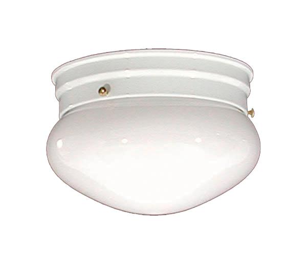 1 Light Flush Mount