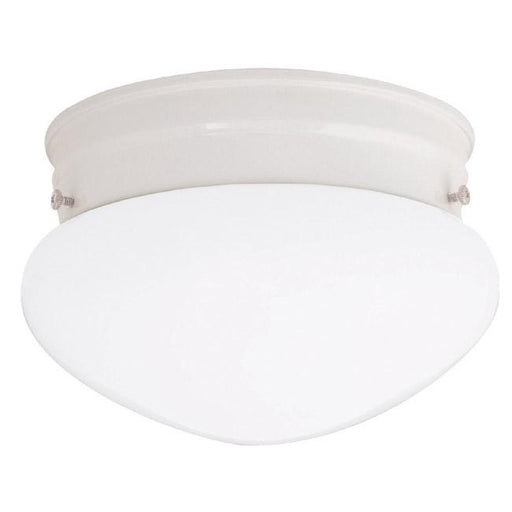 2 Light Flush Mount