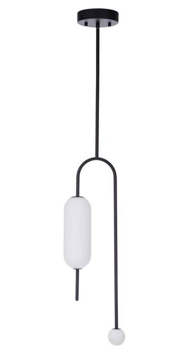 LED Light Pendant