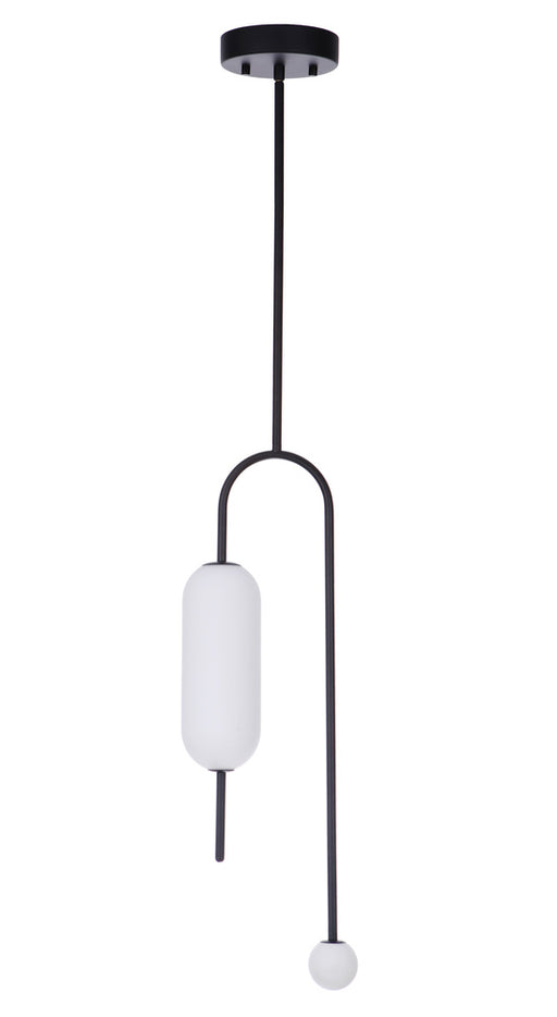 LED Light Pendant