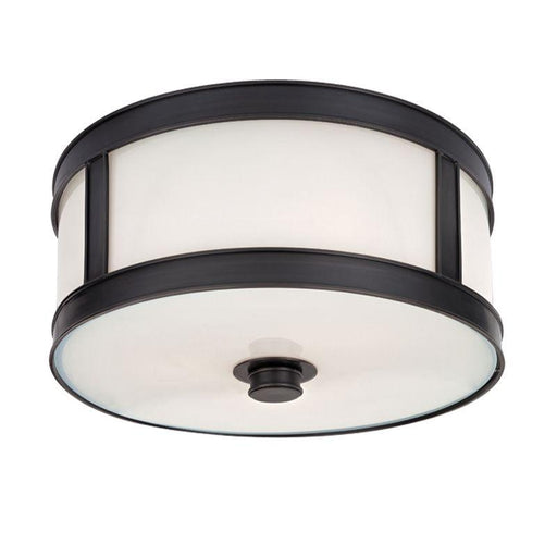 1 LIGHT FLUSH MOUNT