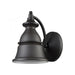 Langhorn 1-Light Outdoor Wall Lamp in Oil Rubbed Bronze