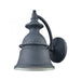 Langhorn 1-Light Outdoor Wall Lamp in Aged Zinc