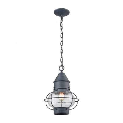 Onion 1-Light Outdoor Pendant in Aged Zinc