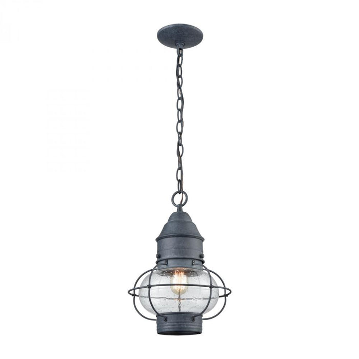 Onion 1-Light Outdoor Pendant in Aged Zinc