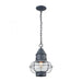 Onion 1-Light Outdoor Pendant in Aged Zinc