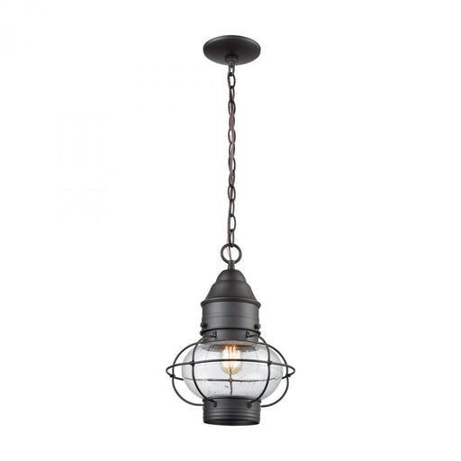 Onion 1-Light Outdoor Pendant in Oil Rubbed Bronze