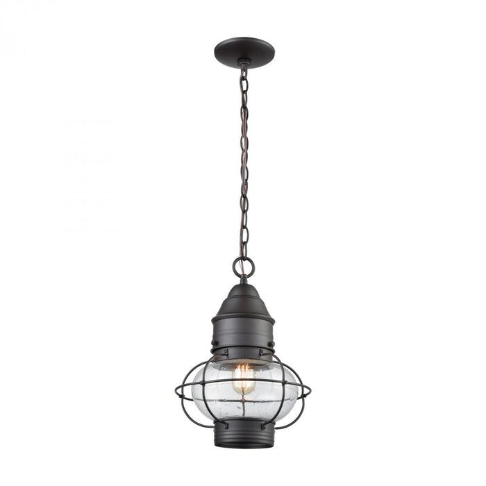 Onion 1-Light Outdoor Pendant in Oil Rubbed Bronze