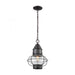 Onion 1-Light Outdoor Pendant in Oil Rubbed Bronze