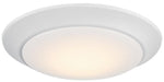 LED Disc Light in White