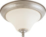 DUPONT 1 LT 11" FLUSH FIXTURE