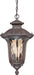 BEAUMONT 2 LT HANGING LANTERN