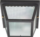 2 LT 10" CARPORT FLUSH FIXTURE