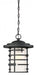 LANSING 1 LT HANGING LANTERN