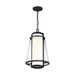 ANAU 1 LIGHT HANGING LANTERN