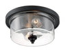 BRANSEL 2 LIGHT FLUSH MOUNT