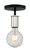 RYDER 1 LIGHT SEMI FLUSH