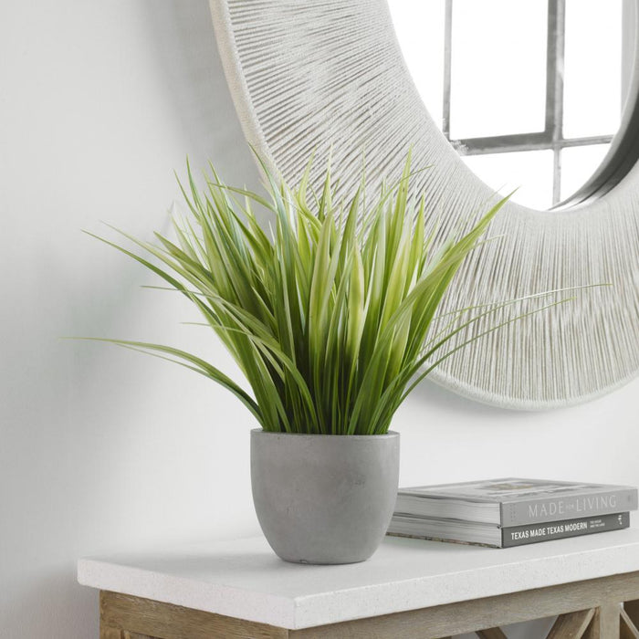 Uttermost Dracaena Grass In Gray Planter