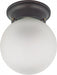 LED 1 LIGHT 6" BALL- LAMP INCL