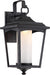 ESSEX 1 LT OUTDOOR LG LANTERN