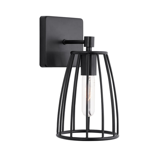 1 Light Sconce