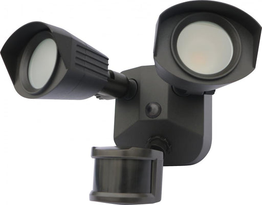 LED DUAL HEAD SECURITY LIGHT