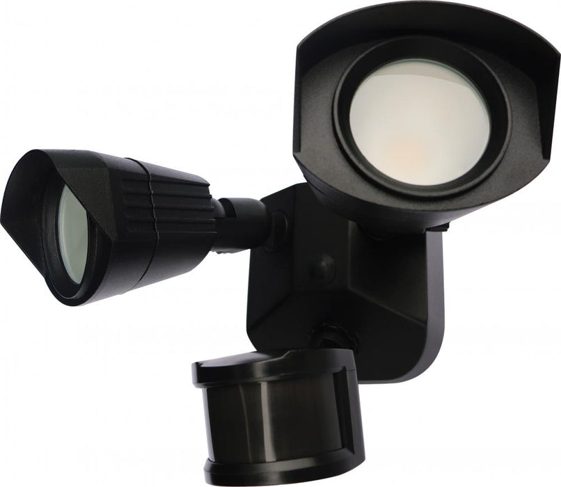 LED DUAL HEAD SECURITY LIGHT