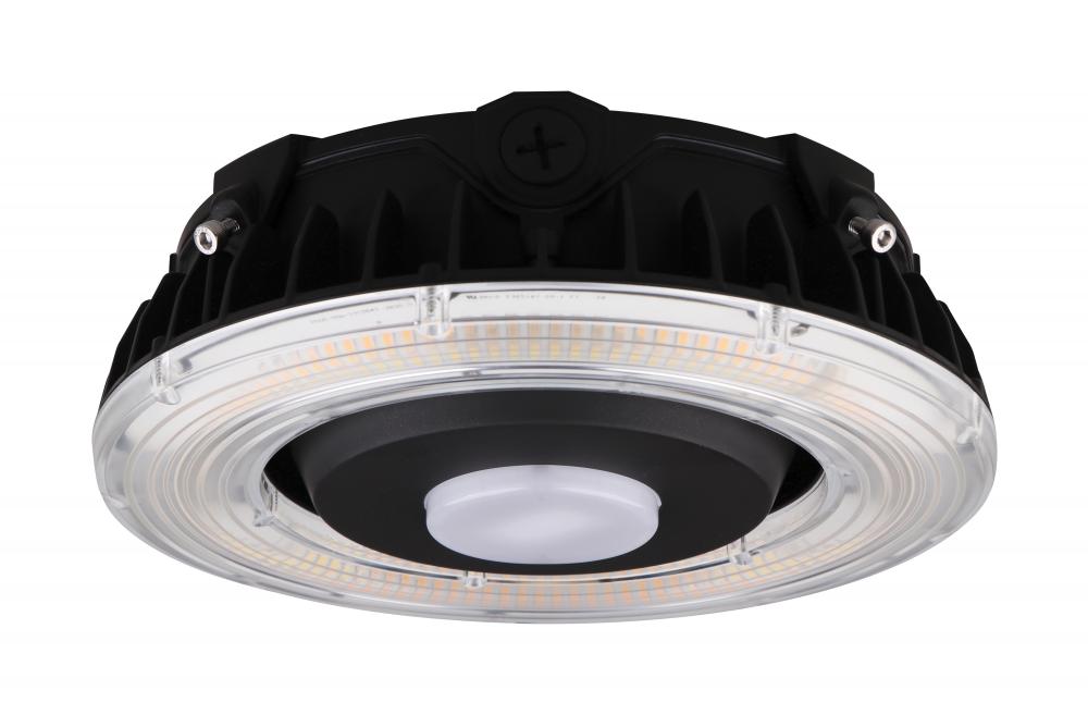 25W LED CANOPY LIGHT