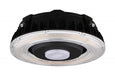 25W LED CANOPY LIGHT